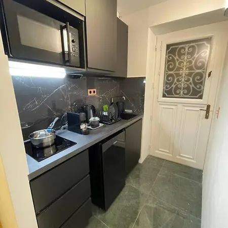 Cosy 8e Champs Elysees Miromesnil